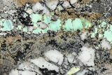 Polished Turquoise in Matrix Slab - Nevada #371563-1